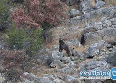 منطقه حفاظت شده قرخود یکی از جاذبه های دیدنی خراسان شمالی است